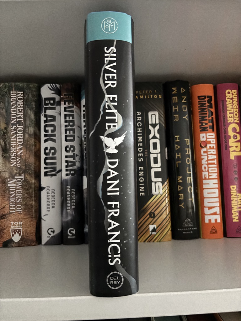 Silver Elite by Dani Francis - BOTM - Image 3